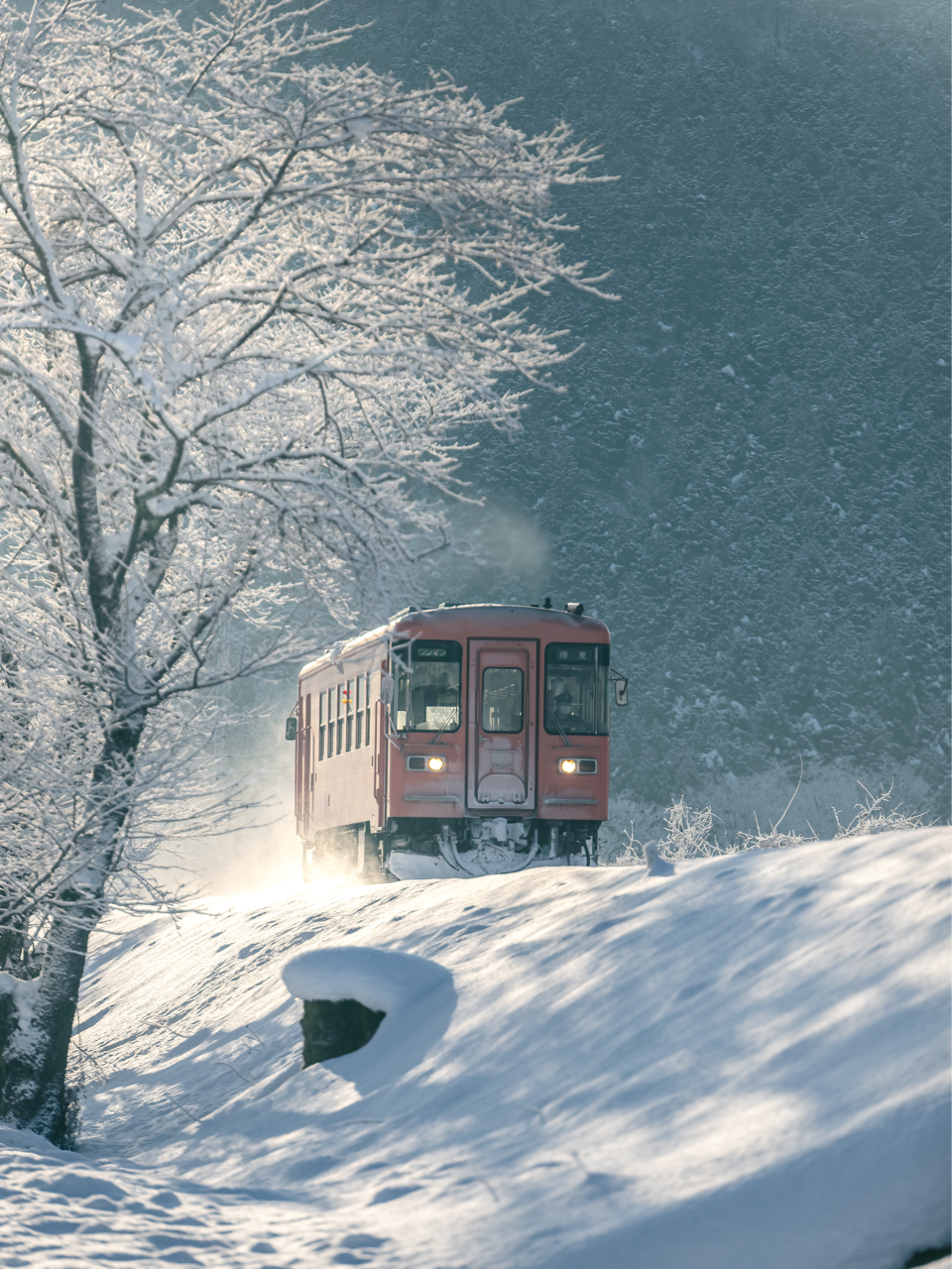 Sorry, no caption provided by author