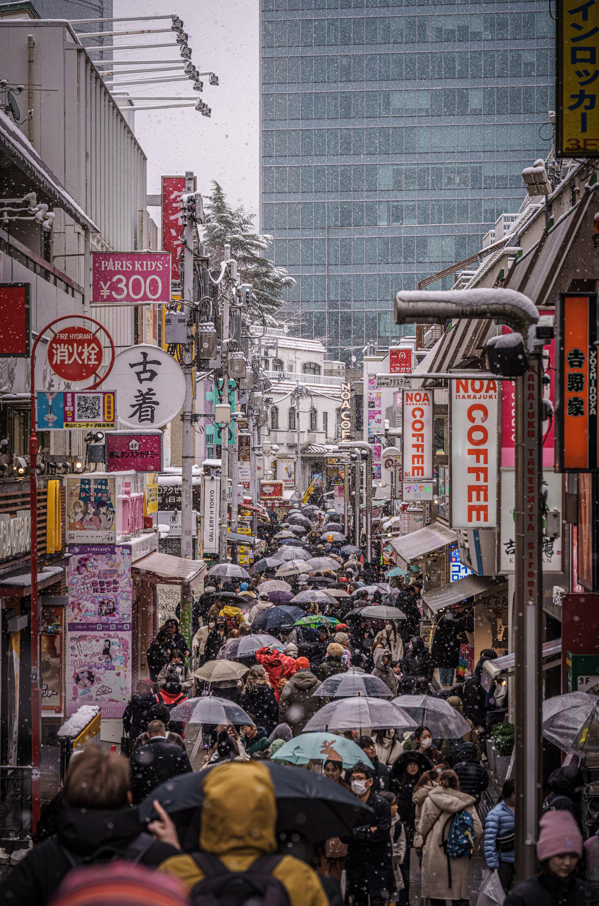 Sorry, no caption provided by author