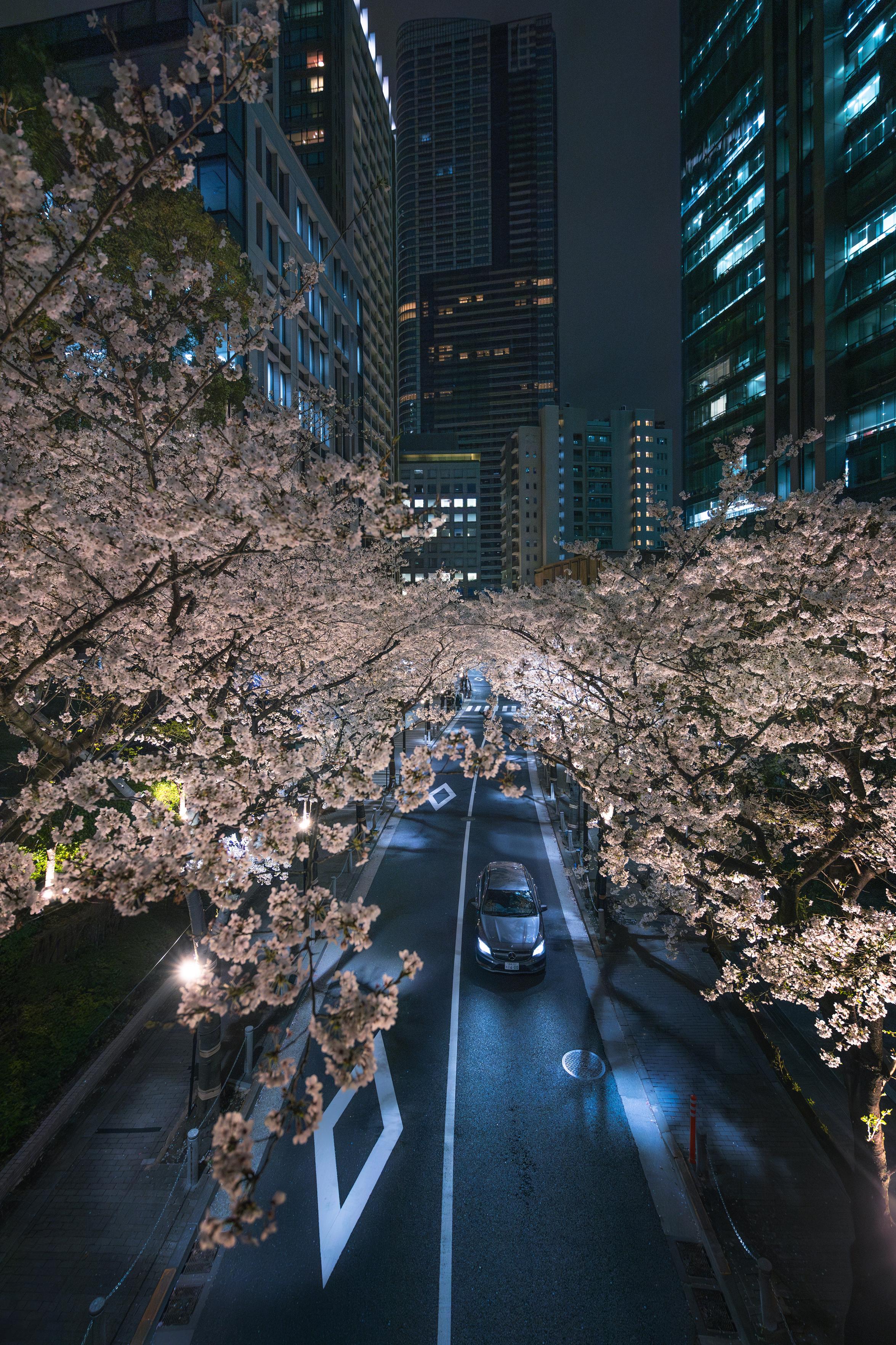 Sorry, no caption provided by author