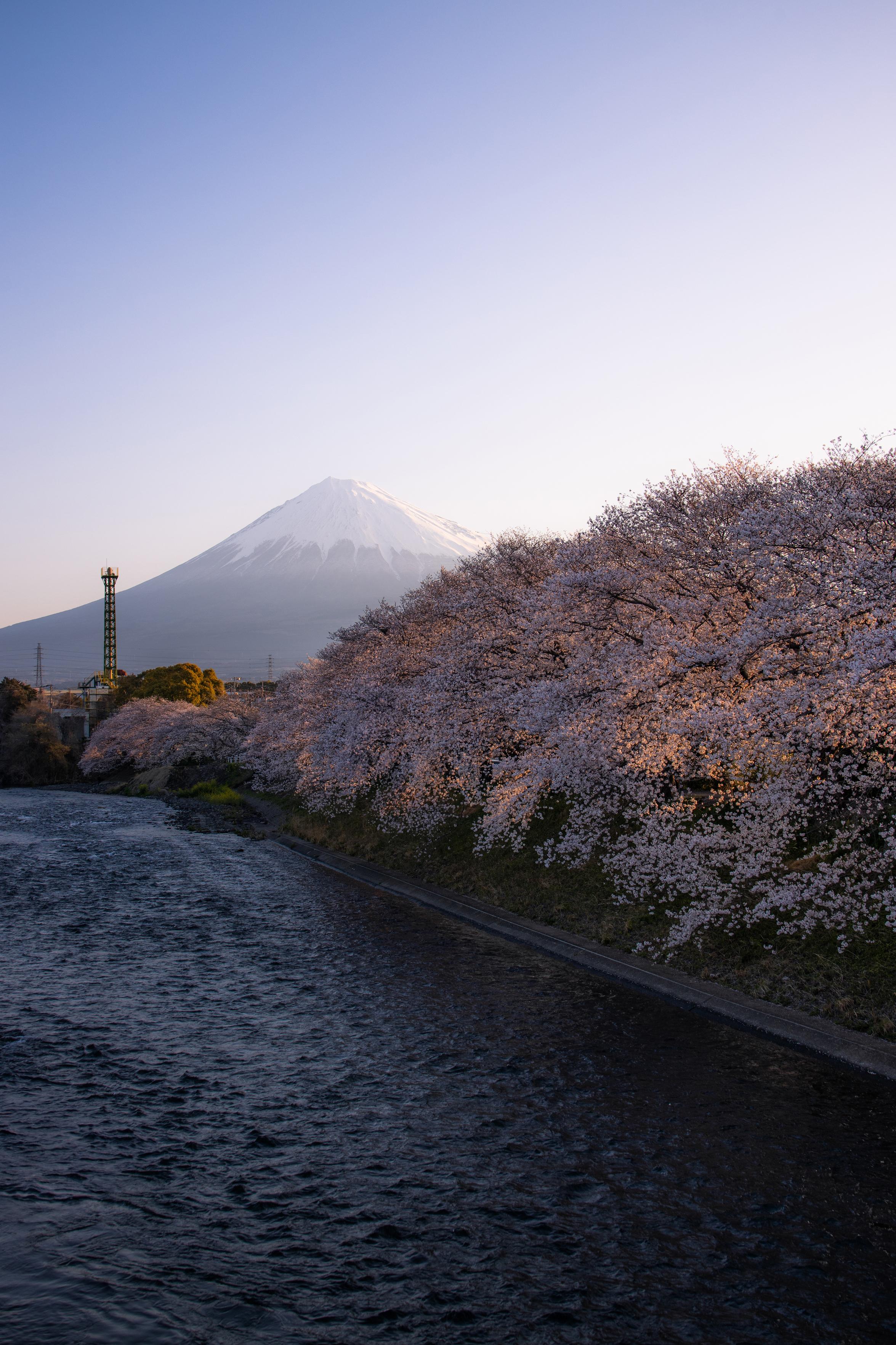 Sorry, no caption provided by author