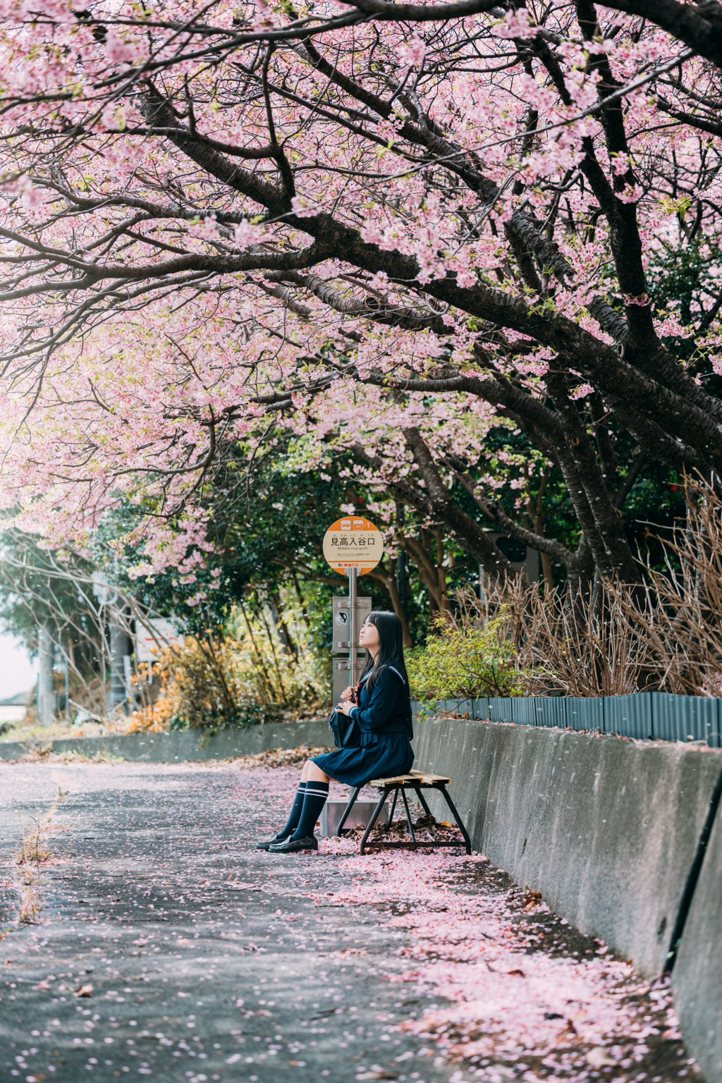 Sorry, no caption provided by author