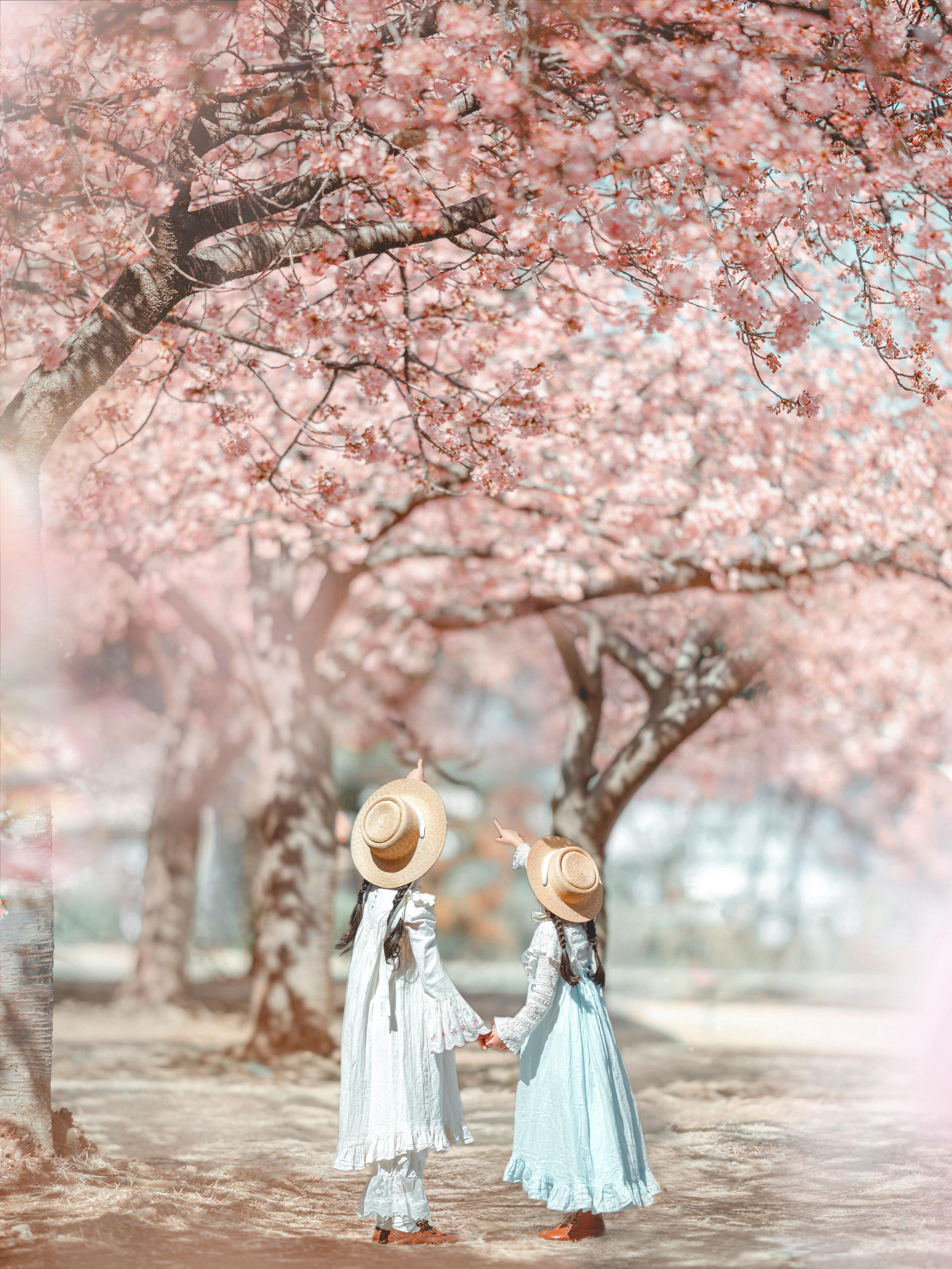 Sorry, no caption provided by author