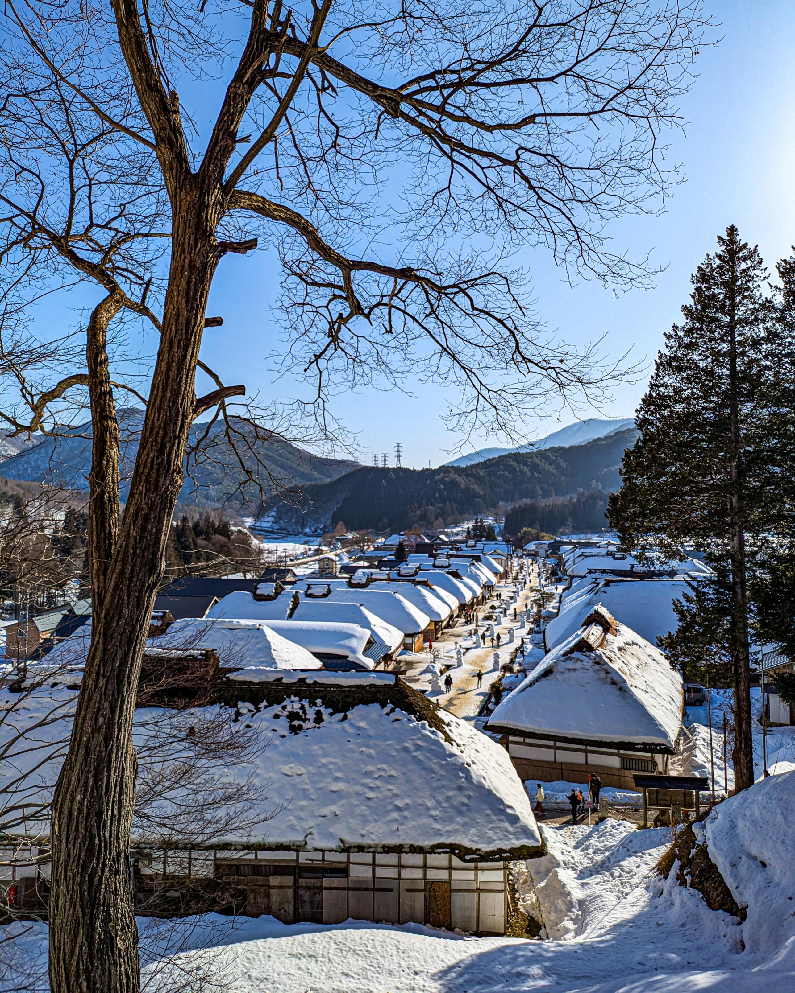 Sorry, no caption provided by author