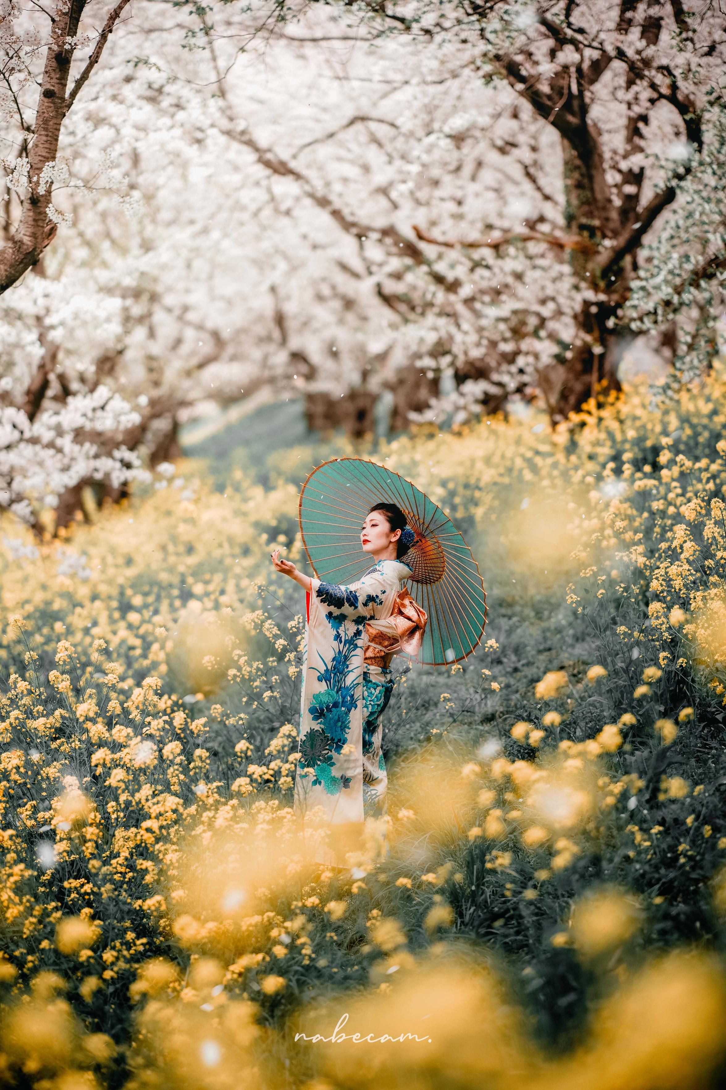 Sorry, no caption provided by author