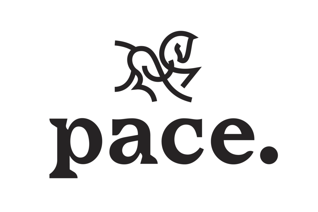 Pace Enterprise Japan株式会社