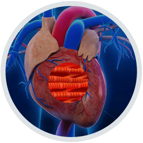 バックオフィス担当 株式会社stroly の時短転職情報 キャリア女性のための時短転職サイトママテラス