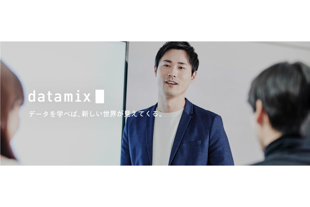 株式会社データミックス