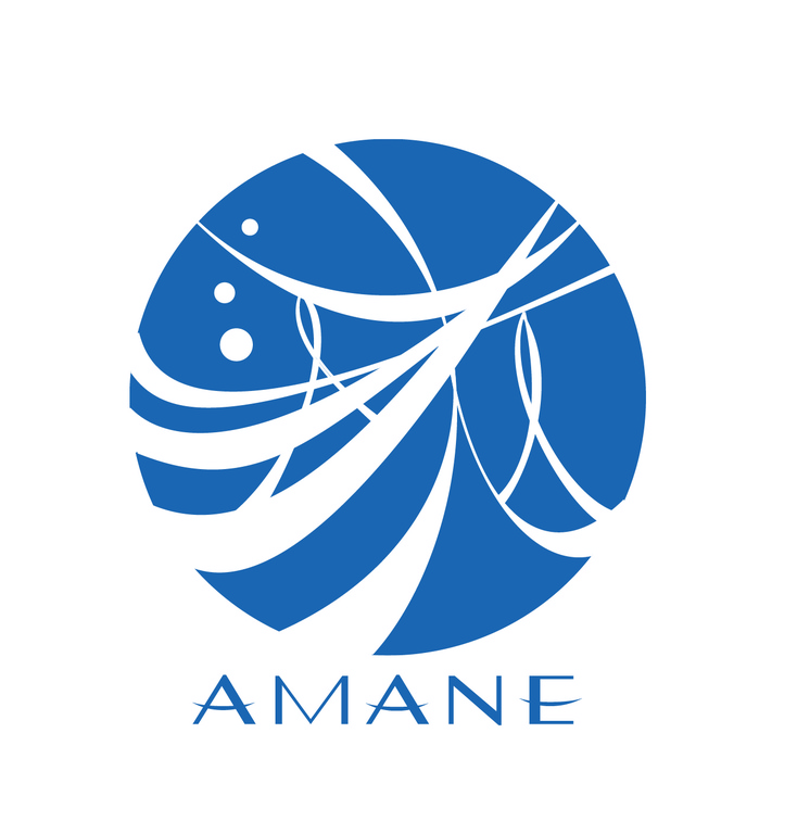 株式会社AMANE