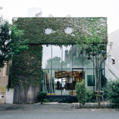 Saturdays Nyc Tokyo Daikanyama Tokyo Good Coffee