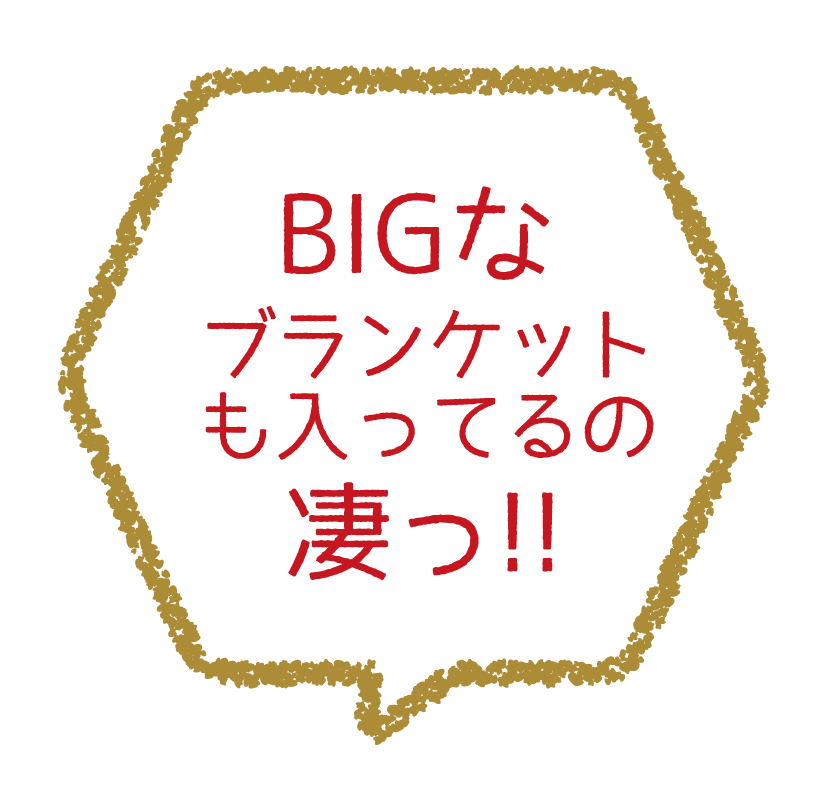 BIGなブランケットも入ってるの凄っ!!