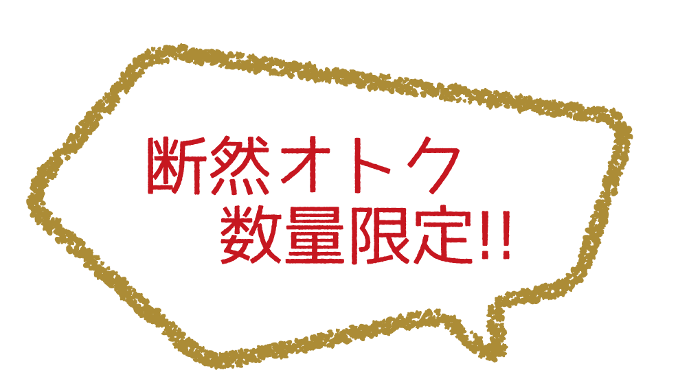 断然オトク 数量限定!!