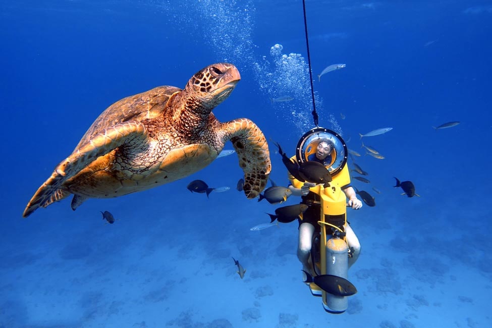 水中スクーター & ボートクルージングツアー