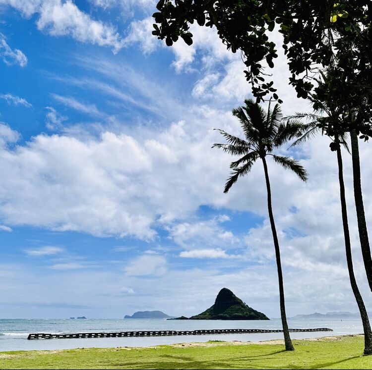 観光タクシーチャーター(５人乗り)