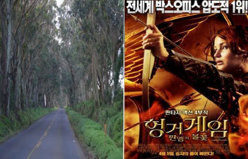 트리터널 (TREE TURNEL)