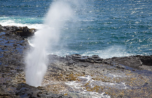 스파우팅 혼 (SPOUTING HORN)