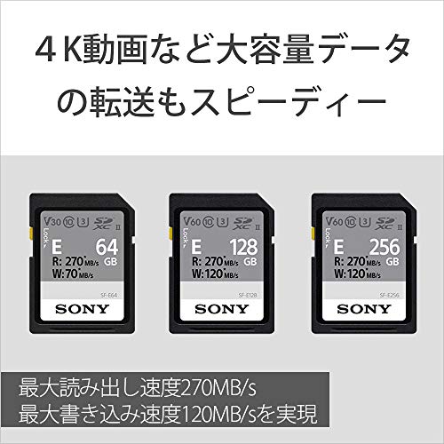 Sony Sony SONY SDXC memory card 128GB SF-E128 Class10 UHS-II Sony Sony SONY SDXC memory card 128GB SF-E128 Class10 UHS-II