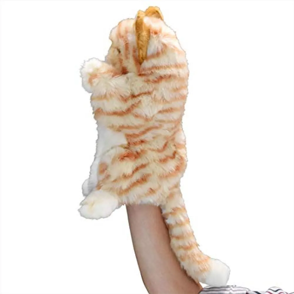 hansa cat