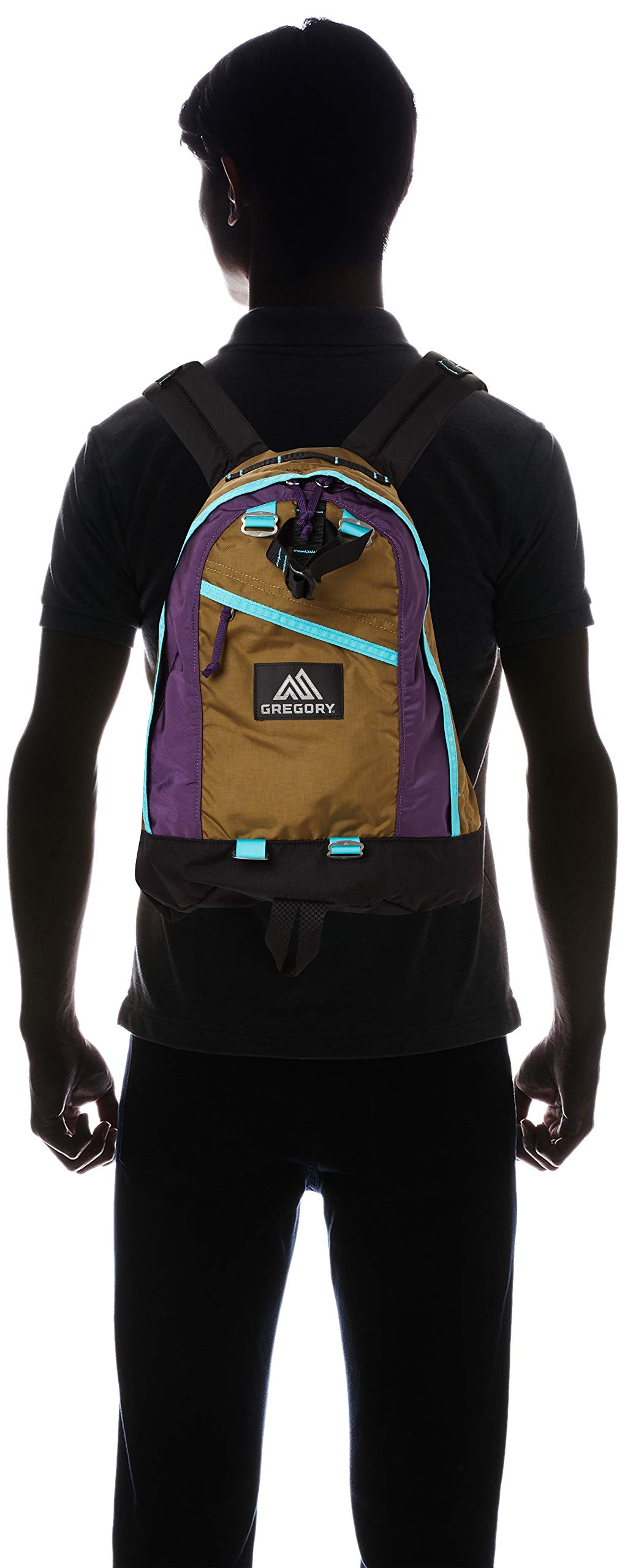 Gregory Gregory Backpack Rucksack Official Fine Day Current Model Dawn Wall Want Jp