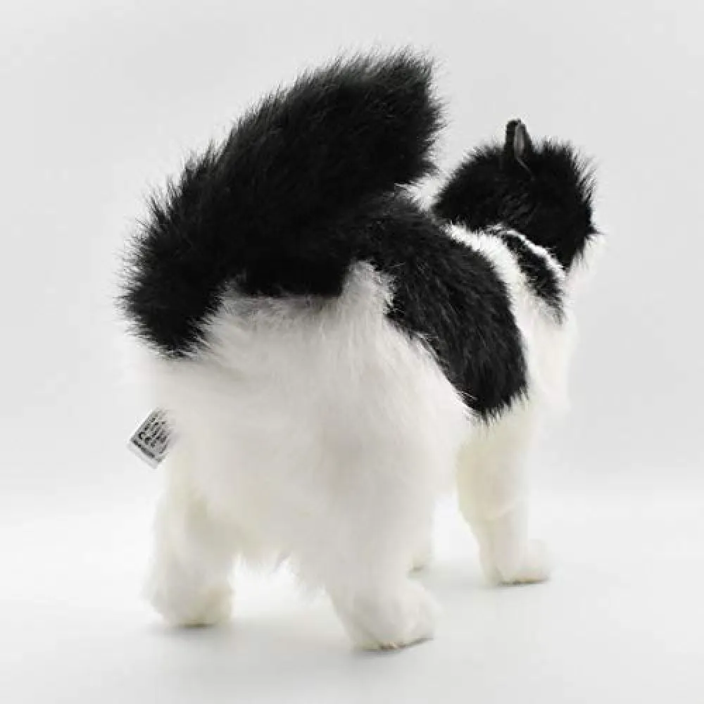 hansa cat