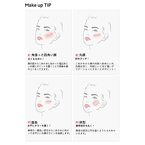 The Saem The Saem Japan Official The Saem Eco Soul Carnibal Blush 05 Cheek Pink 8g Want Jp