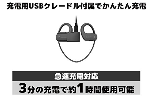 SONY headphone-integrated Walkman W 