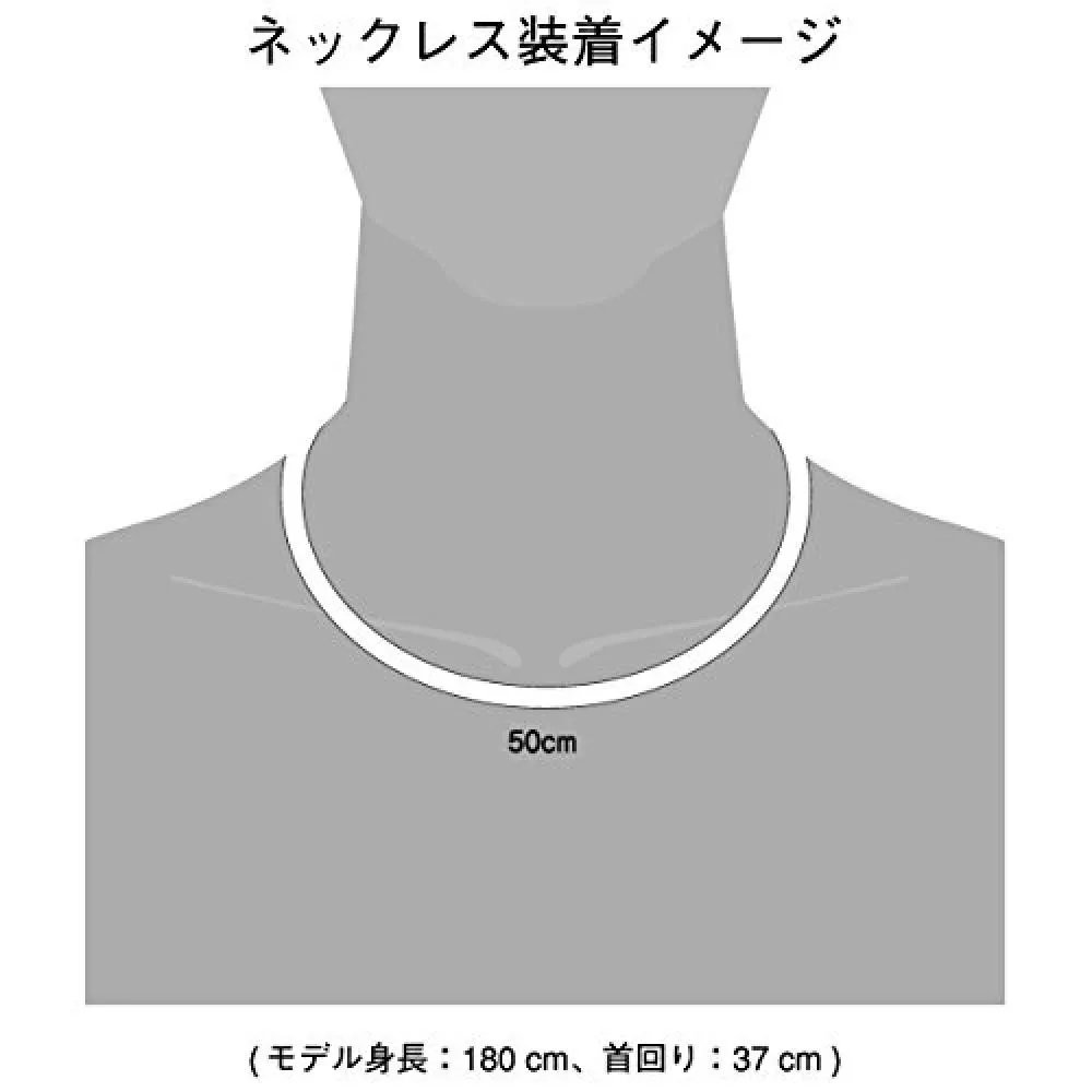 Phiten Phiten Necklace Rakuwa Neck X100 Carbon Silver 50cm Want Jp