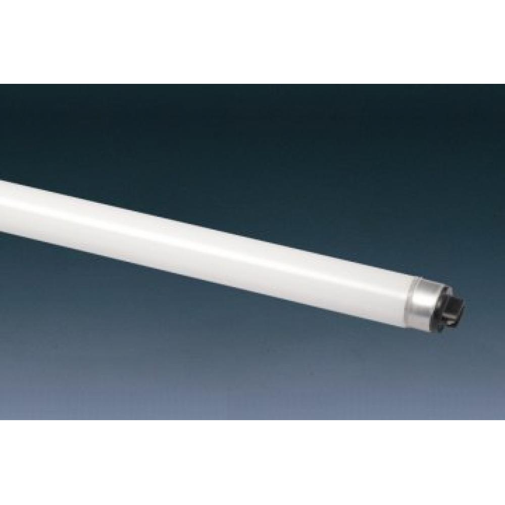 Panasonic Palook fluorescent lamp (straight tube) 110W rapid start type natural color FLR110HEXNA100
