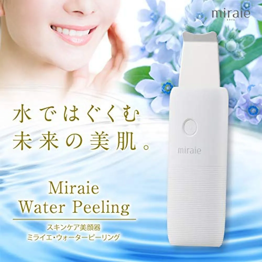 美肌美顔器 リビアス www.expressinter.com