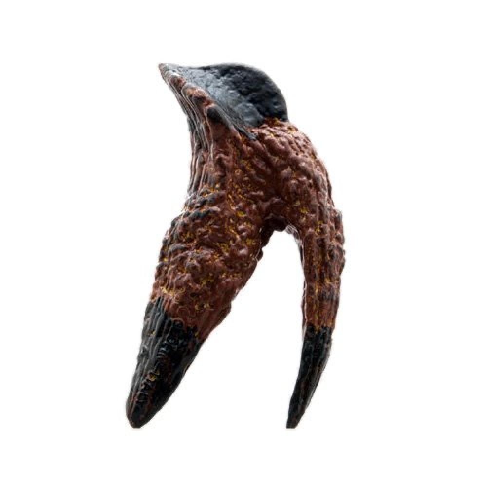 Triceratops Tooth Replica Model (FD-552)