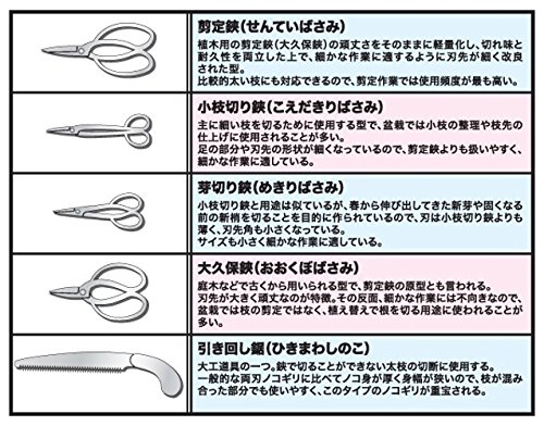 Platz Platts 1 12 The Bonsai 肆 W Etched Parts Pruning Shears Plastic Bon 04sp Want Jp
