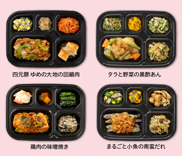 いつでも五菜Eセット