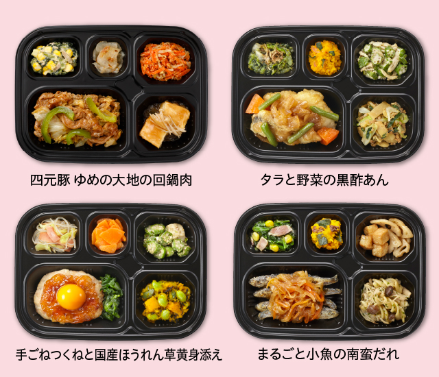 いつでも五菜Eセット