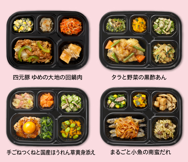 いつでも五菜Eセット