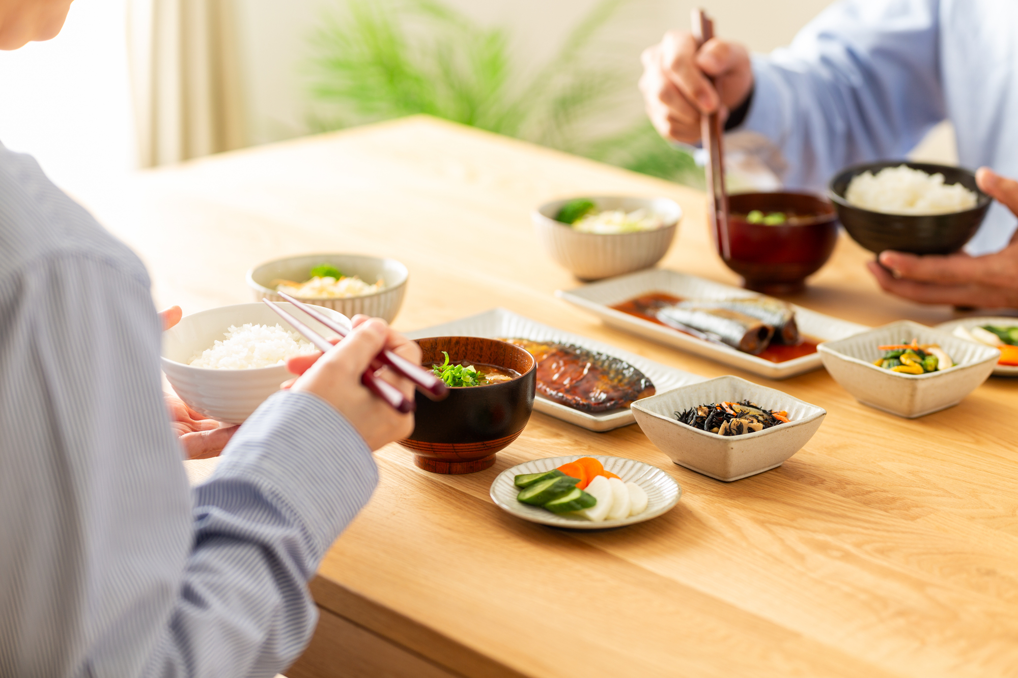 向かい合って和食を食べる食事の様子