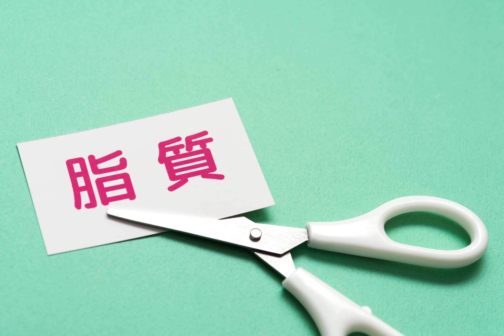 「脂質」と書かれた紙とはさみ