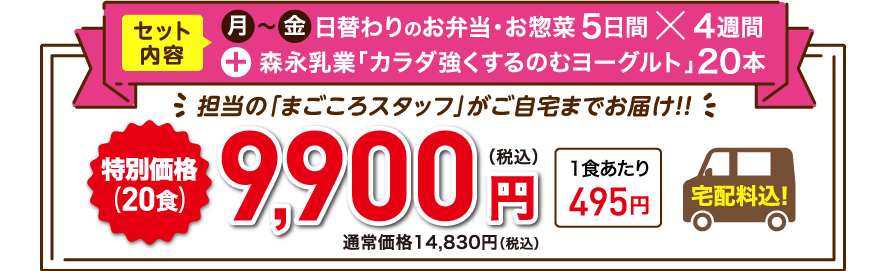 特別価格9,900円