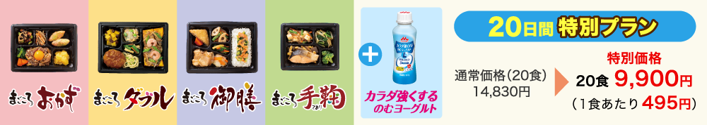 20日間特別プラン