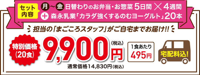 特別価格9,900円