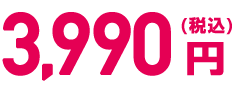 3,990円（税込）
