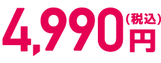 4,990円（税込）