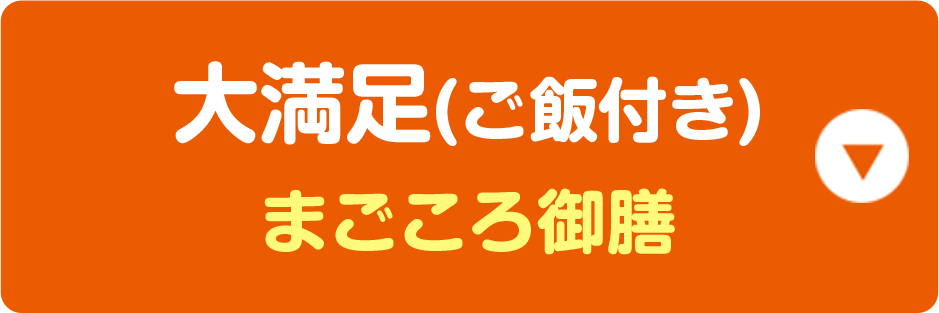 大満足(ご飯付き) まごころ御膳