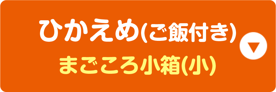 ひかえめ(ご飯付き) まごころ小箱(小)
