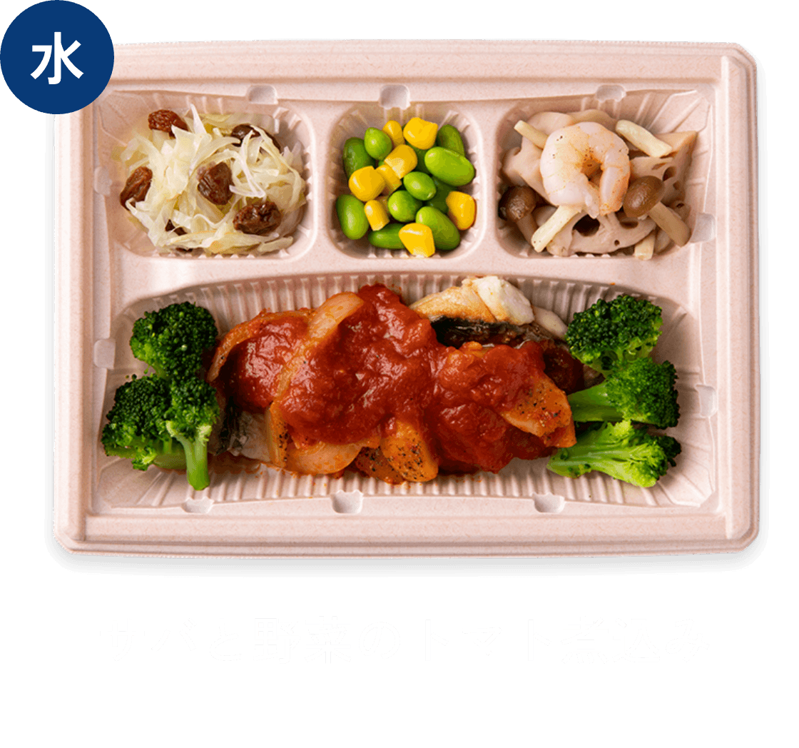 水曜 サバと野菜のトマト煮込み