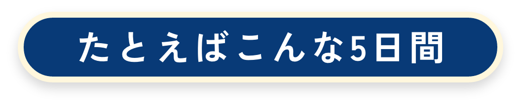 たとえばこんな5日間