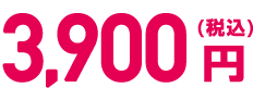 3,900円（税込）