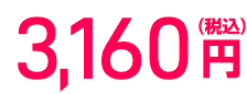 3,950円（税込）