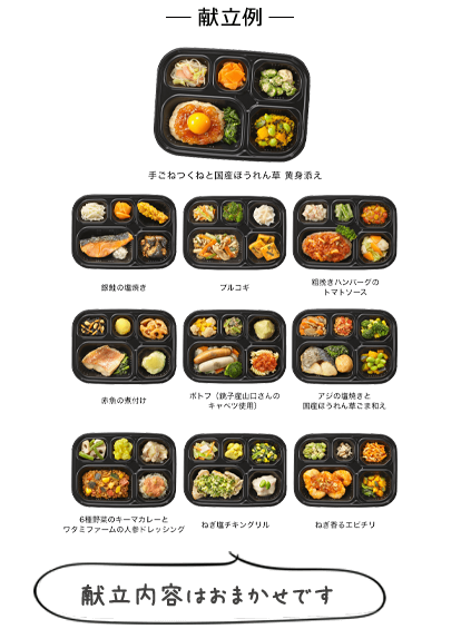 いつでも五菜 【お試し割】10食セット　献立例