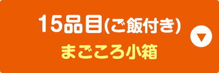 15品目(ご飯付き) まごころ小箱