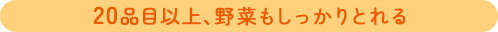 20品目以上、野菜もしっかりとれる