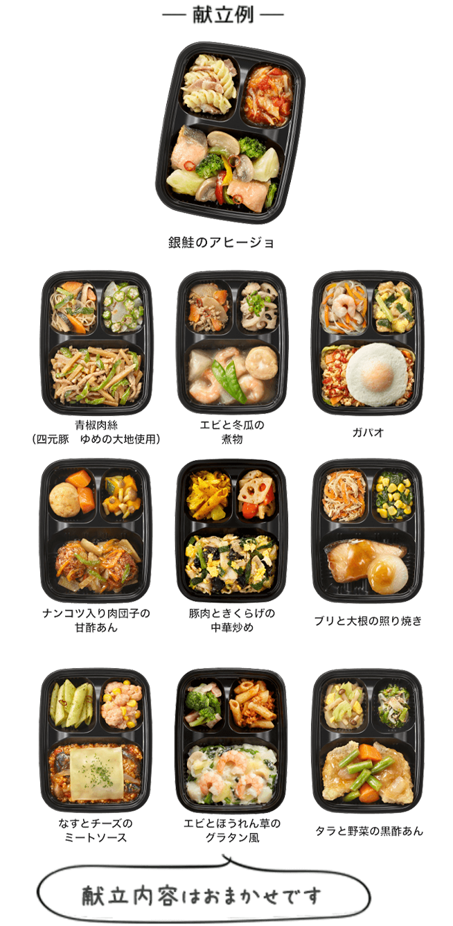 いつでも三菜 【お試し割】10食セット 献立例